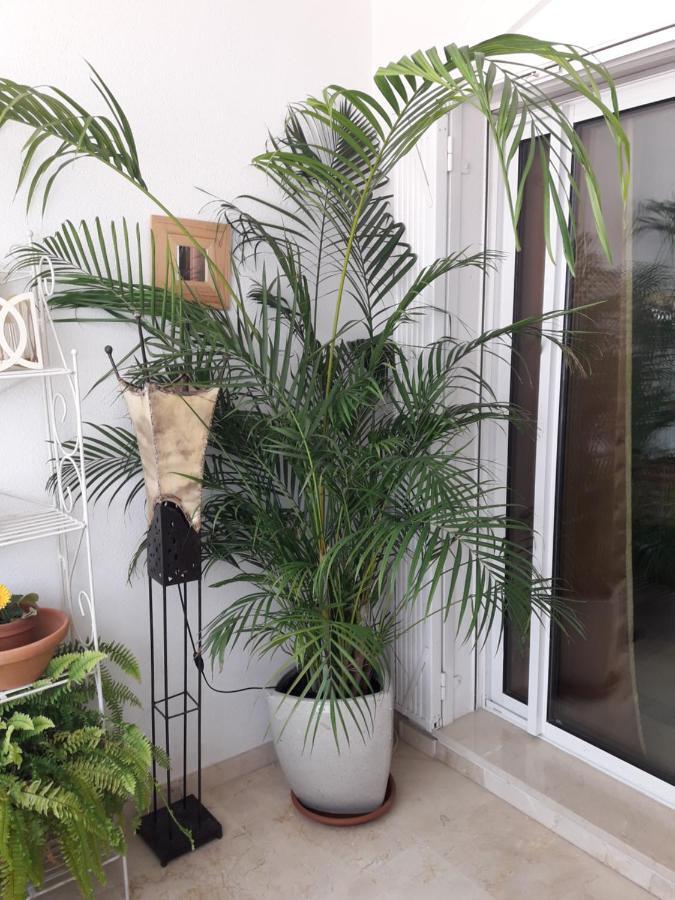 Apartemen Banana 1a Li­nea De Playa Marbella